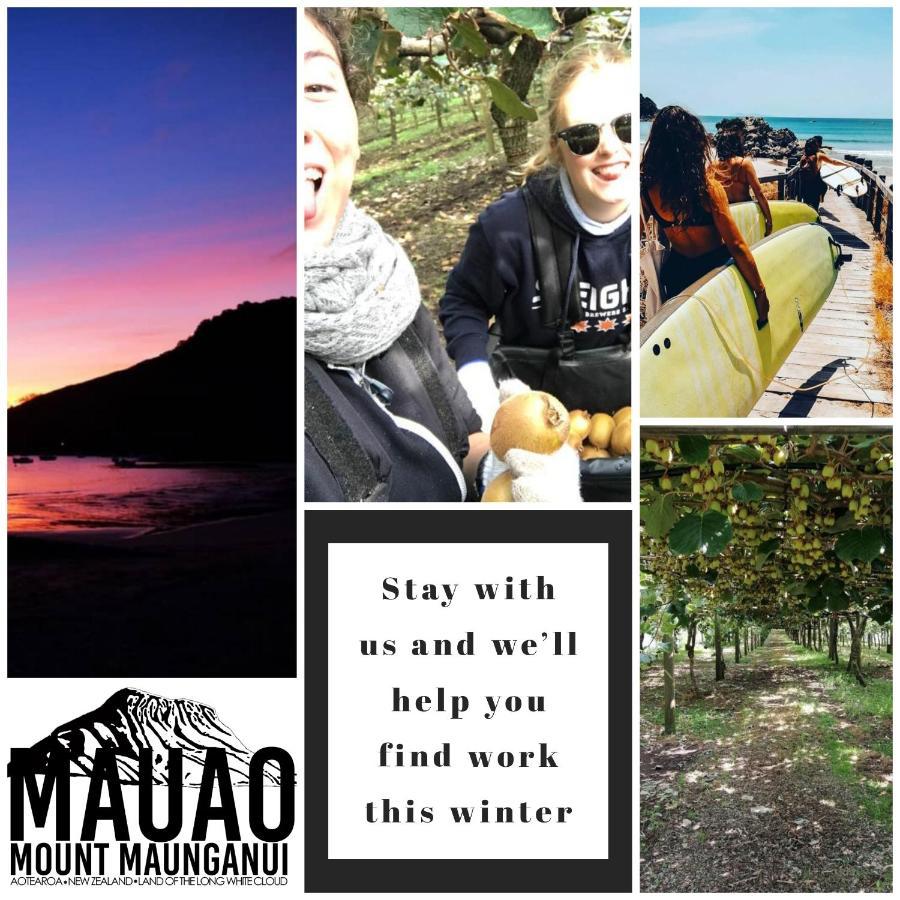 Хостел Mount Backpackers Маунт-Маунгани Экстерьер фото