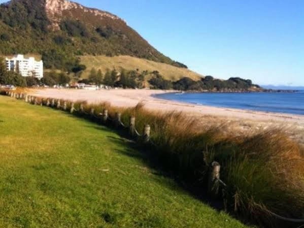 Хостел Mount Backpackers Маунт-Маунгани Экстерьер фото